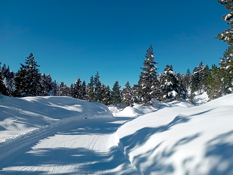 Pistas abiertas en Larra Belagua